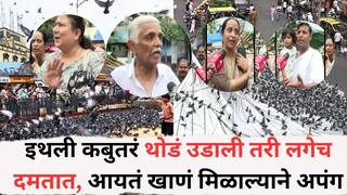Dadar Kabutar Khana: इथली कबुतरं थोडं उडाली तरी लगेच दमतात, आयतं खाणं मिळाल्याने अपंग; दादरमधील रहिवाशी नेमकं काय म्हणाले?