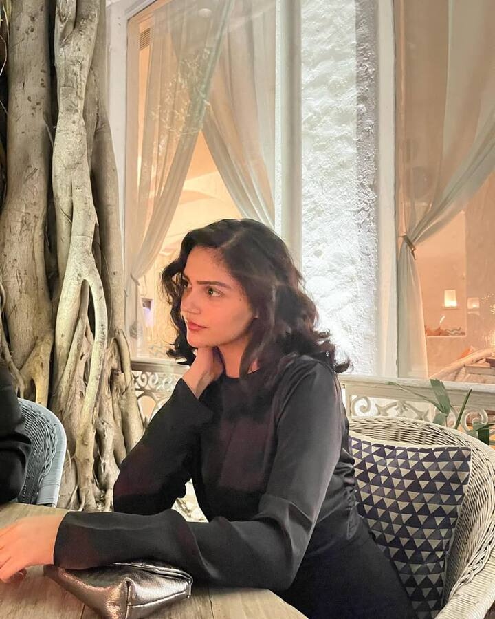 फेम से पहले उनके वायरल फोटोज में अनीत पड्डा को कई बार अपने दोस्तों को फैंसी रेस्टोरेंट्स और कैफे में जाते हुए देखा गया है. ये तस्वीर भी उन्हीं आउटिंग में से एक की है.