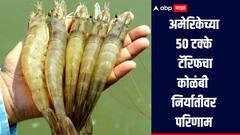 अमेरिकेच्या 50 टक्के टॅरिफचा कोळंबी निर्यातीवर परिणाम, 2 अब्ज डॉलर्स कोळंबी नियातीला धोका