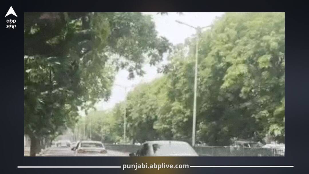 Rain with Yellow Alert in Several Punjab Districts Today; Normal Weather for 3 Days, Storm and Rain Warning from 14th Aug Punjab Weather Today: ਪੰਜਾਬ ‘ਚ ਅੱਜ ਕਈ ਜ਼ਿਲ੍ਹਿਆਂ ‘ਚ ਮੀਂਹ ਸਣੇ ਯੈਲੋ ਅਲਰਟ ਜਾਰੀ; ਤਿੰਨ ਦਿਨ ਮੌਸਮ ਰਹੇਗਾ ਆਮ, 14 ਤੋਂ ਫਿਰ ਬਰਸਾਤ-ਤੂਫਾਨ ਦੀ ਵਾਰਨਿੰਗ