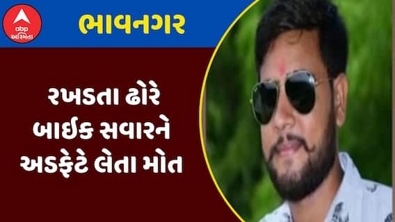 Bhavnagar Cattle Issue : ભાવનગરમાં રખડતા ઢોરે બાઇક સવારને અડફેટે લેતા મોત
