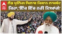 Flood In Punjab| ਕਿਸੇ ਵੀ ਸਮੇਂ ਹੜ੍ਹ ਆਉਣ ਦਾ ਖਦਸ਼ਾ, ਖੁਦ ਕਿਸਾਨ ਬੰਨ੍ਹ ਕਰ ਰਹੇ ਤਿਆਰ| abp sanjha|