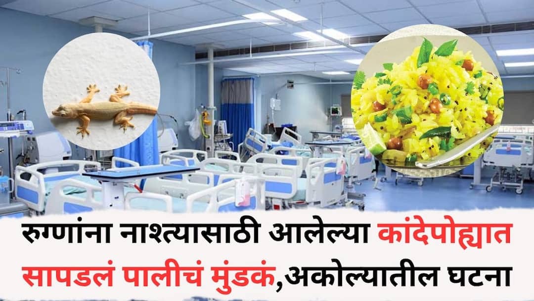 अकोल्यातील सरकारी रुग्णालयात धक्कादायक प्रकार, रुग्णांना नाश्त्यासाठी आलेल्या कांदेपोह्यात सापड