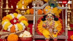 Janmashtami 2025 Remedies For Shani Sade Sati And Dhaiyya