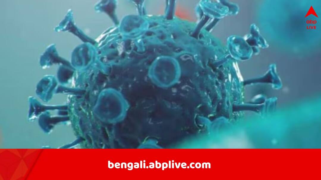 Novel Coronavirus: ফের চরিত্রবদল, নতুন রূপে আরও আগ্রাসী COVID-19, লাগাতার বাড়ছে সংক্রমণ, উপসর্গও আলাদা COVID 19 New XFG Variant is causing infection surge in the US know about the risk symptoms Novel Coronavirus: ফের চরিত্রবদল, নতুন রূপে আরও আগ্রাসী COVID-19, লাগাতার বাড়ছে সংক্রমণ, উপসর্গও আলাদা
