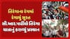 Tiranga Yatra in Surat: તિરંગાના રંગમાં રંગાયું સુરત, સી.આર.પાટીલે તિરંગા યાત્રાનું કરાવ્યું પ્રસ્થાન
