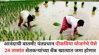 Crop Insurance Scheme: आनंदाची बातमी! पंतप्रधान पीकविमा योजनेचे पैसे 24 तासांत शेतकऱ्यांच्या बँक खात्यात जमा होणार, नुकसान भरपाईही मिळणार