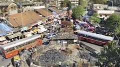 Mumbai kabutar khana: कबुतरांची पिसं आणि घाणीला कंटाळलात, मग हे पाच उपाय करा, कबुतरं आसपासही फिरकणार नाहीत