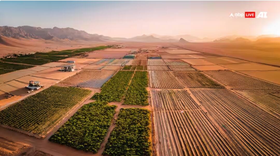 ਹੁਣ ਸਮਾਰਟ ਡਿਵਾਈਸ ਦੱਸਣਗੇ ਕਿ ਖੇਤ ਵਿੱਚ ਕਦੋਂ ਤੇ ਕਿੰਨੀ ਕਰਨੀ ਹੈ ਸਿੰਚਾਈ, ਹੋ ਗਈ ਨਵੀਂ ਖੋਜ ! Students develop smart irrigation device to save water and guide farmers ਹੁਣ ਸਮਾਰਟ ਡਿਵਾਈਸ ਦੱਸਣਗੇ ਕਿ ਖੇਤ ਵਿੱਚ ਕਦੋਂ ਤੇ ਕਿੰਨੀ ਕਰਨੀ ਹੈ ਸਿੰਚਾਈ, ਹੋ ਗਈ ਨਵੀਂ ਖੋਜ !