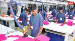 डोनाल्ड ट्रम्प यांच्या 50 टक्के टॅरिफचा भारताला पहिला फटका, 'या' राज्यातील कंपन्यांनी उत्पादन थांबवलं