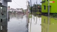 मथुरा में यमुना उफान पर, चेतावनी स्तर पार, खेत-खलिहान डूबे, प्रशासन अलर्ट पर