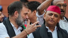 राहुल गांधी से EC ने मांगा हलफनामा तो अखिलेश यादव बोले- पहले पिछले एफिडेविट्स का जवाब दे दें