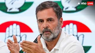 Stray Dogs: आवारा कुत्तों को हटाने के सुप्रीम कोर्ट के आदेश पर राहुल गांधी नाराज, बोले- 'क्रूरता'