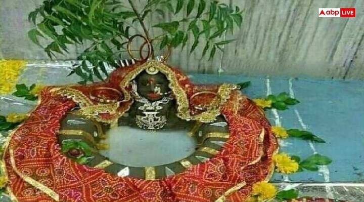 तीज पर्व पर विशेषरूप से सुहागिन स्त्रियां पति की दीर्घायु के लिए व्रत रखती हैं. इस दिन मां गौरी और भगवान शंकर की पूजा का महत्व है. तीज पर्व से कई परंपराएं और मान्यताएं भी जुड़ी हैं. इन्हीं में एक है ‘नीमड़ी पूजा’, जिसका कजरी तीज पर खास महत्व होता है.