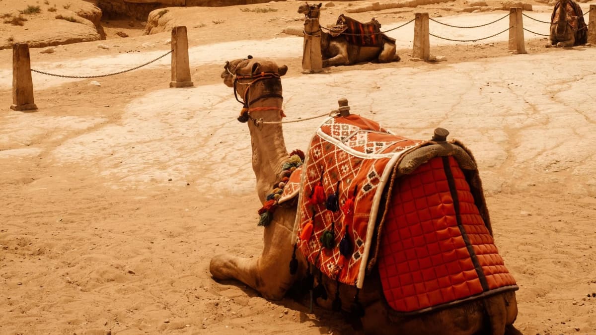 (Image Source: Twitter/@clausinecassar)