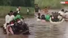 Video: तेज बहाव में डूबने लगी बैलगाड़ी, सांसें अटकीं और फिर हुआ चमत्कार! वीडियो वायरल
