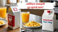 अमेरिकन मांसाहारी दुधामुळे भारतावर टॅरिफ, कॅनडात 300 टक्क्यांपर्यंत कर; स्वित्झर्लंड, कोरिया आणि आइसलँडमध्येही बंदी, ते दूध आहे तरी कसं?