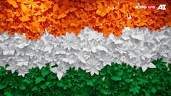 Independence Day 2025: 8 Creative DIY Crafts For Independence Day Decor