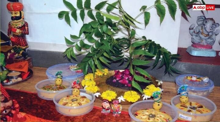 करजी तीज पर नीमड़ी पूजन को महत्वपूर्ण माना जाता है, जिसक बिना पूजा अधूरी होती है. इसमें महिलाएं नीम की डाली को देवी मां का रूप मानकर विधि-विधान से पूजा करती हैं और अखंड सौभाग्य की कामना की करती हैं.