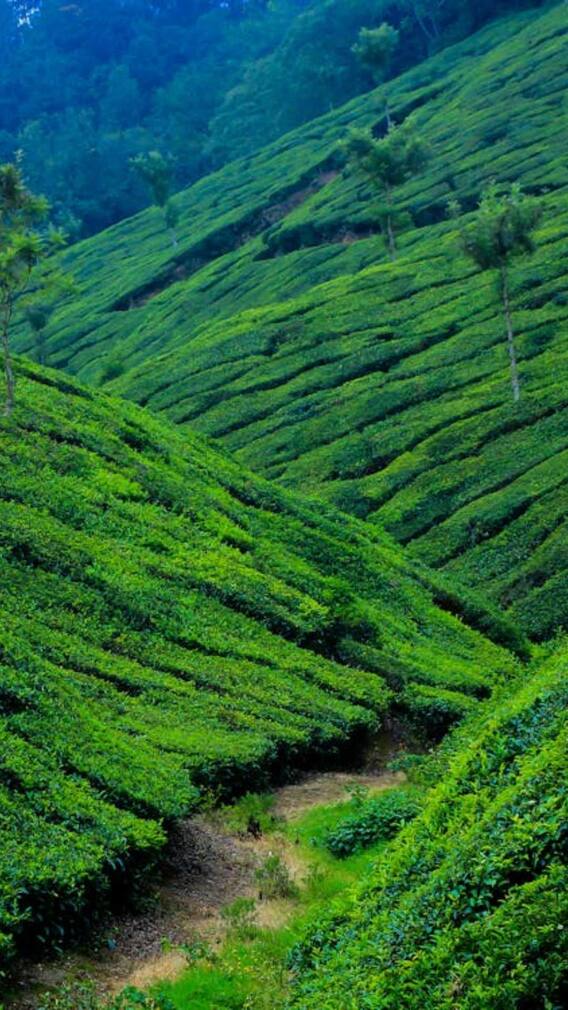 भारत का सबसे रईस शहर कौन-सा है?