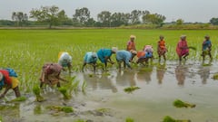 இயந்திரங்கள், விஞ்ஞான வளர்ச்சியால் தேய்பிறையாக மாறிய வாய்மொழி இலக்கிய பாடல்