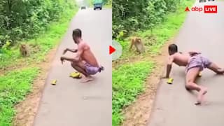 बंदर भी सोच रहा होगा कि कहां फंस गया, वीडियो देख यूजर्स बोले- आखिरकार मिल ही गया मोगली
