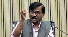 'हम सांसद आतंकवादी हैं या...?', INDIA ब्लॉक के विरोध प्रदर्शन को रोका तो भड़के संजय राउत