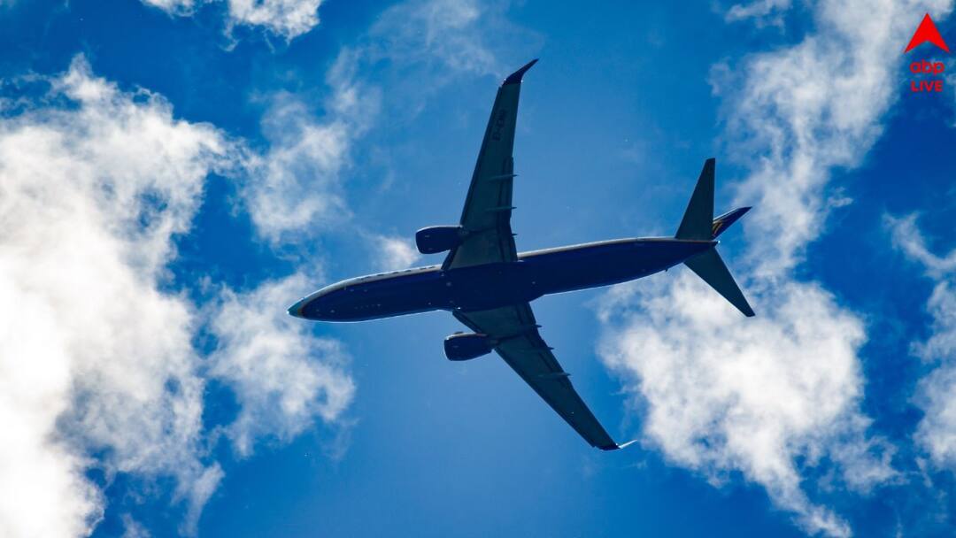 Pakistan faces Rs 4.1 Billion lose after Airspace Ban On Indian Flights for more than two months says report India-Pakistan Airspace: ভারতীয় বিমানের জন্য আকাশপথ বন্ধ ২ মাসের বেশি সময়, বিপুল আর্থিক ক্ষতির মুখে পাকিস্তান !