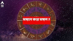 হঠাৎ করে নয়, কঠোর পরিশ্রমের ফল পেতে চলেছে এই রাশি ; অর্থ-সম্মানে মুড়বে ভাগ্য