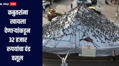 कबुतर खाने बंद! कबुतरांना खायला देणाऱ्यांकडून 32 हजार रुपयांचा दंड वसूल, मुंबई पालिकेची कारवाई 