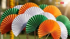 Independence Day 2025: 8 Creative DIY Crafts For Independence Day Decor