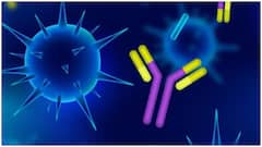 రేబిస్ మరణాలకు ఇక చెక్.. చికిత్సపై ఆశలు పెంచుతోన్న కొత్త అధ్యయం