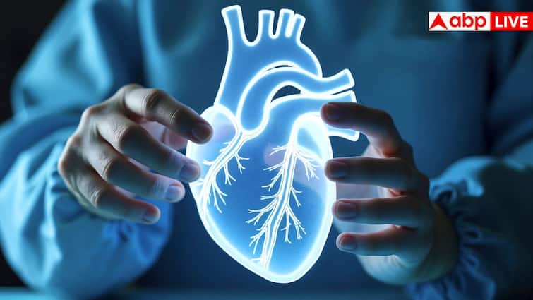 7 Essential Facts: Donor Diabetes/High BP Transplants — Clear, Proven Guidance.