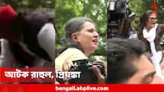SIR-র বিরুদ্ধে প্রতিবাদ-কর্মসূচি! সাংসদদের মিছিল আটকালো পুলিশ, ব্যারিকেডে উঠলেন মহুয়া,সুস্মিতা, আটক রাহুল-প্রিয়ঙ্কা
