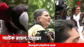 SIR-র বিরুদ্ধে প্রতিবাদ-কর্মসূচি! সাংসদদের মিছিল আটকালো পুলিশ, ব্যারিকেডে উঠলেন মহুয়া,সুস্মিতা, আটক রাহুল-প্রিয়ঙ্কা
