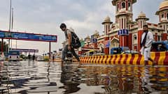 IMD Alerts in UP: यूपी में क्या धीमी पड़ी बारिश की रफ्तार? इन जिलों में अलर्ट जारी, जानें- अपने शहर के मौसम का हाल