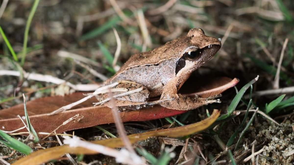 (Image Source: Twitter/@China_Fact)