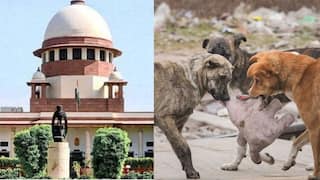 SC Stray Dogs: நாய் பிரியர்களை லெஃப்ட் ரைட் வாங்கிய உச்சநீதிமன்றம்.. ”எதிர்ப்பு சொல்லி யாரும் வந்துடாதிங்க”