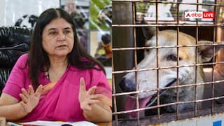 मेनका गांधी बोलीं, 'दिल्ली में एक भी शेल्टर नहीं, 3 लाख कुत्तों को कहां डालेंगे, ये नामुमकिन है'