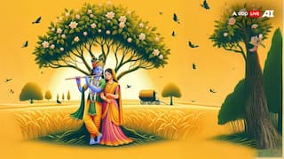 रक्षाबंधन के बाद अब अगस्त में कौन सा बड़ा त्योहार आने वाला है?