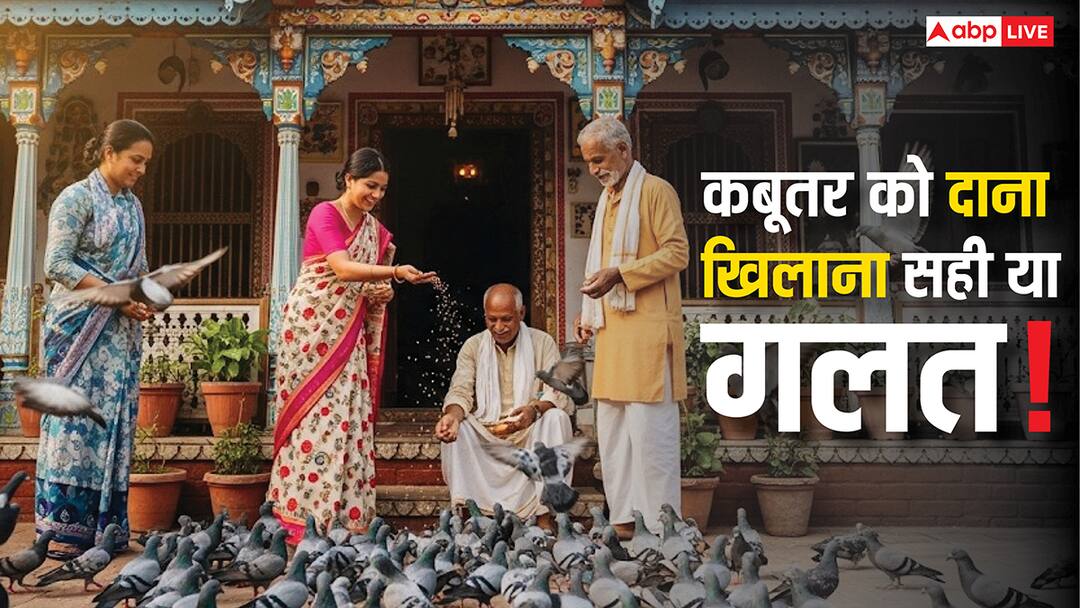 Vastu Shastra: कबूतरों को दाना डालने के अद्भुत लाभ! जानिए इसके फायदे और धार्मिक महत्व के बारे में Kabutar ko dana dalne ke fayde vastu shastra according to benefits of feeding pigeons Vastu Shastra: कबूतरों को दाना डालने के अद्भुत लाभ! जानिए इसके फायदे और धार्मिक महत्व के बारे में