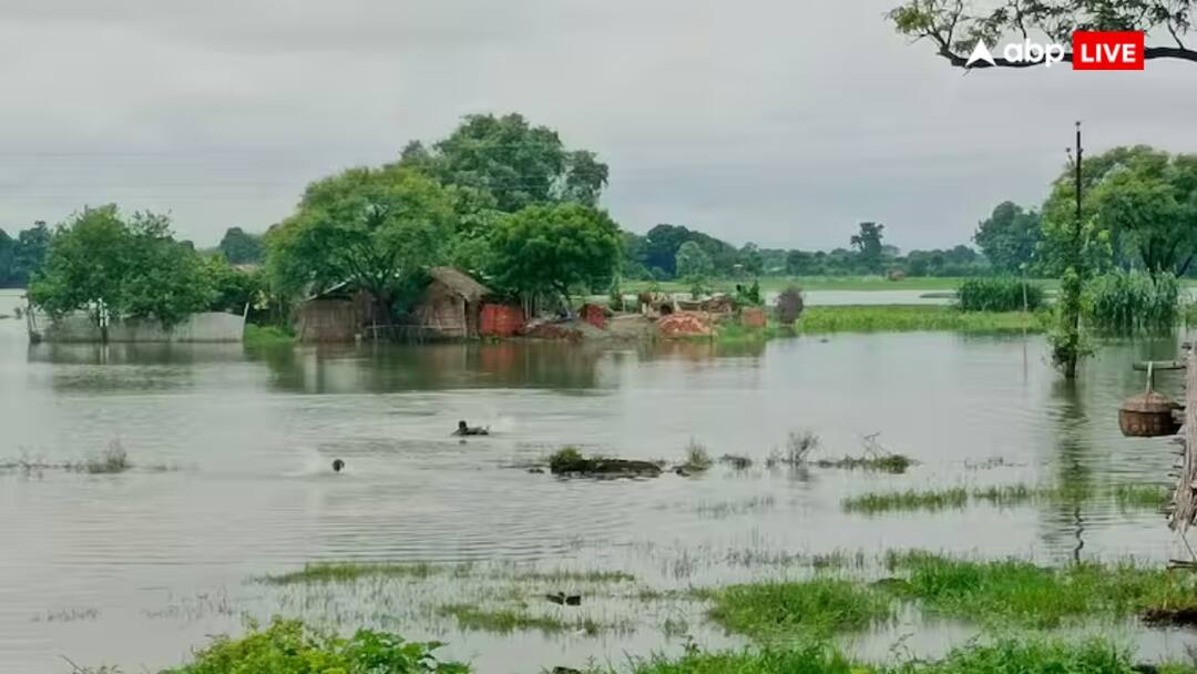 Up ghazipur people cross used stairs for going to farming field amid flood in ganga river ann Ghazipur News: गाजीपुर में भारी बारिश के बाद बाढ़ जैसे हालात, ग्रामीणों को गांव पार करने के लिए लेना पड़ रहा है सीढ़ी का सहारा