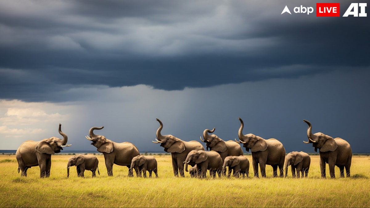 (Image Source: ABPLIVE AI)