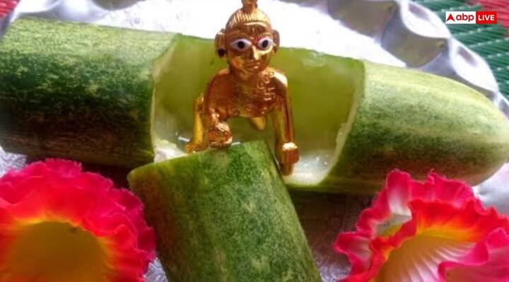 On the day of Janmashtami, the stalking cucumber is cut with a coin in the same way as a child is cut off from the mother's womb at the time of birth of a child. According to Hindu belief, the stalk of cucumber is considered to be the umbilical cord of Lord Krishna.