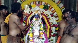 2000 பாட்டில்கள்,  34 சேவல், 45 ஆடுகள்.. குச்சனூர் சனீஸ்வரர் கோயிலில் ஆச்சரிய வழிபாடு!