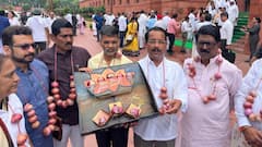 संसद में महाराष्ट्र के किसानों का सांसदों ने सुनाया दर्द, प्याज की माला पहनकर किया प्रदर्शन
