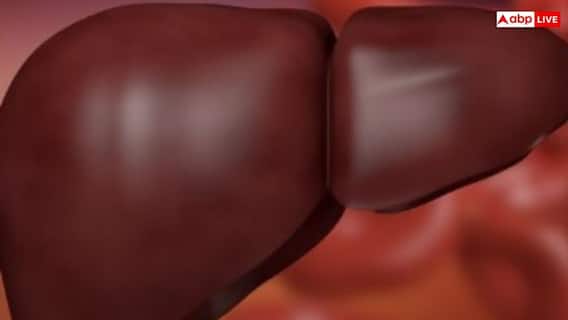 हर सप्ताह में खा लेंगे ये चार स्नैक्स तो कभी नहीं होंगे फैटी लिवर का शिकार, हार्वर्ड के एक्सपर्ट ने बताया सेहत का राज