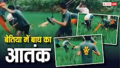 Bihar Tiger Attack: बिहार में बाघ ने किसान को चीर डाला, घायल हुआ वन रक्षक, बेतिया में दहशत में लोग