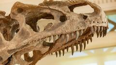 अब सबके सामने आ जाएंगे डायनासोर के सारे छिपे हुए राज, वैज्ञानिकों ने ढूंढ निकाली यह खास चीज