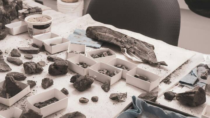 ये वेसल्स बताती हैं कि डायनासोर कैसे जीते थे. उनकी चोटें कैसे ठीक होती थीं और उनका शरीर कैसे काम करता था? इससे हमें उनके जीवन और उनकी बनावट के बारे में ज्यादा पता चल सकता है.